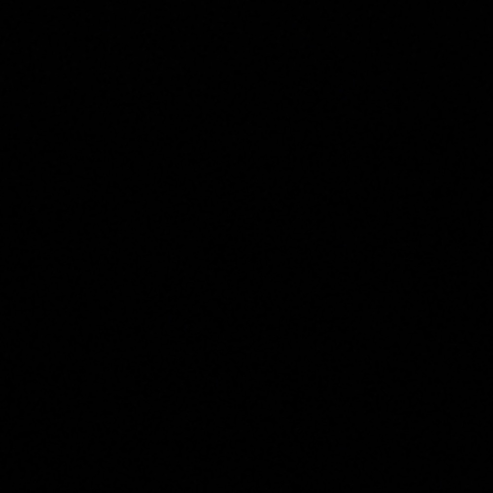 Black Garment